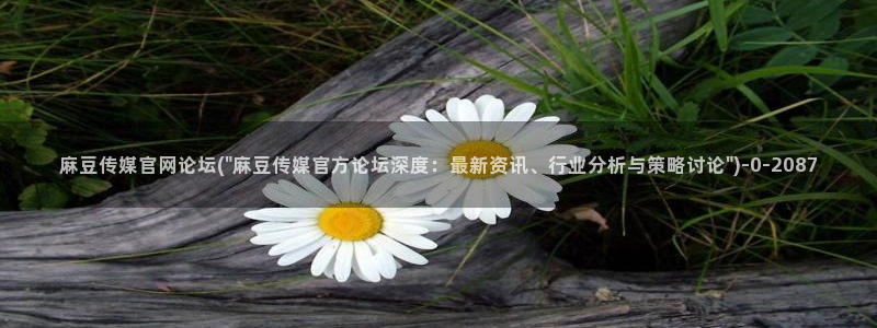 麻豆视频 入口页面：麻豆传媒官网论坛(\