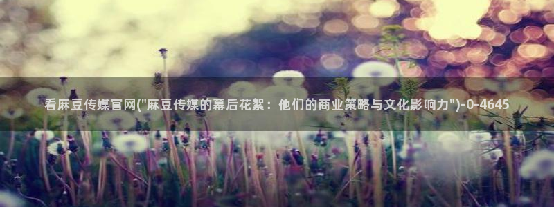 麻豆视频 下载：看麻豆传媒官网(\