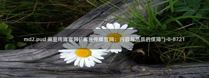 麻豆视频完整版更新：md2.pud 麻豆传媒官网
