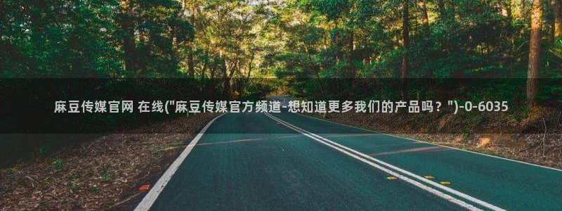 麻豆 推荐：麻豆传媒官网 在线(\