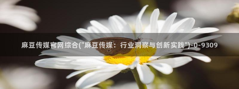 麻豆 资源页面：麻豆传媒官网综合(\