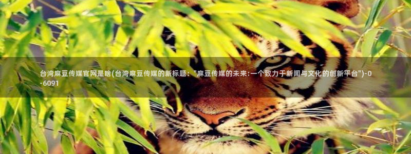 麻豆下载最新：台湾麻豆传媒官网是啥(台湾麻豆传媒