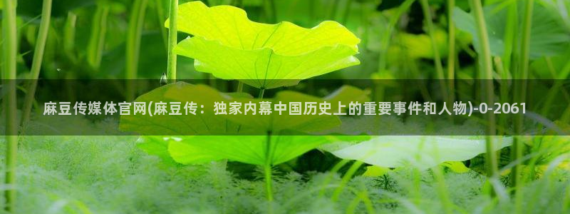 麻豆视频精选下载：麻豆传媒体官网(麻豆传：独家内幕中