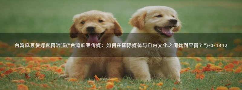麻豆视频在线看导航：台湾麻豆传媒官网逍遥(\
