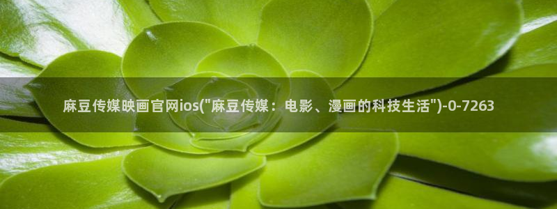 麻豆 入口整理：麻豆传媒映画官网ios(\