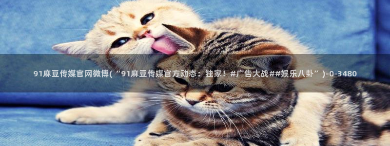 麻豆视频 最新更新：91麻豆传媒官网微博(“91麻豆传媒