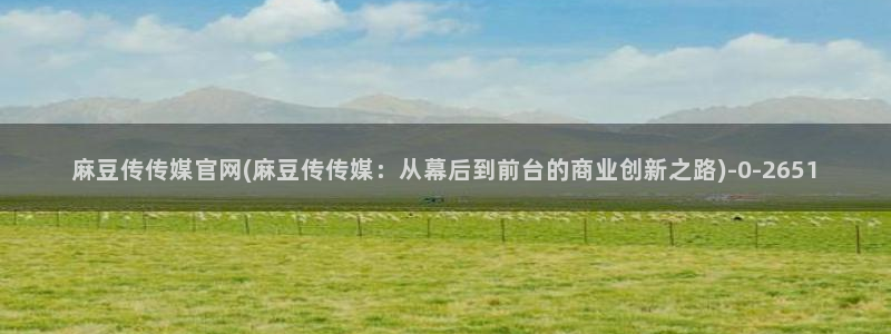 麻豆视频完整版页面：麻豆传传媒官网(麻豆传传媒：从幕后到前台的商业创新之路)