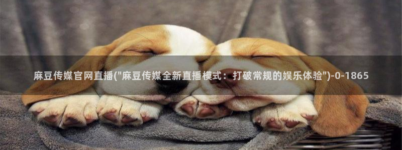 麻豆 推荐：麻豆传媒官网直播(\