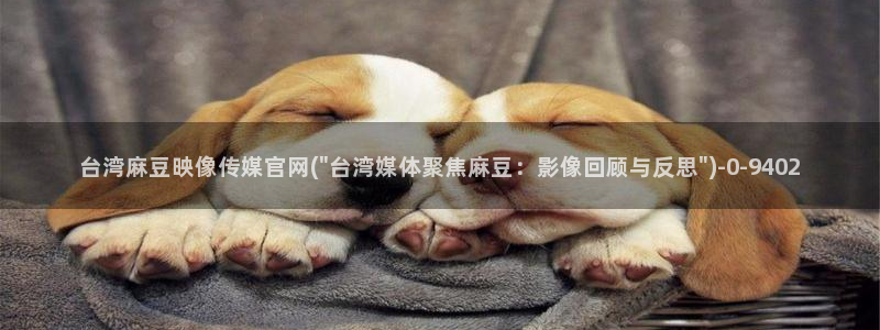 麻豆视频高清页面：台湾麻豆映像传媒官网(\