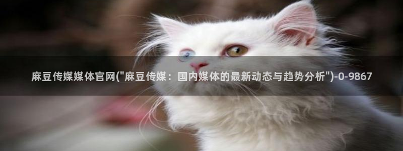 麻豆视频在线看页面：麻豆传媒媒体官网(\