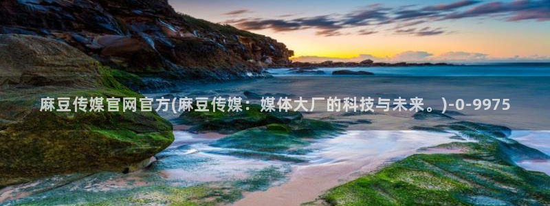 麻豆视频 更新完整版：麻豆传媒官网官方(麻豆传媒：媒体大
