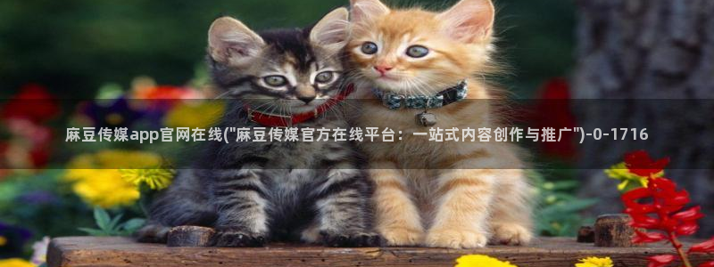 麻豆 官方高清：麻豆传媒app官网在线(\