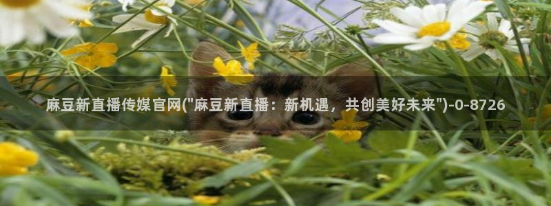 麻豆资源页面：麻豆新直播传媒官网(\