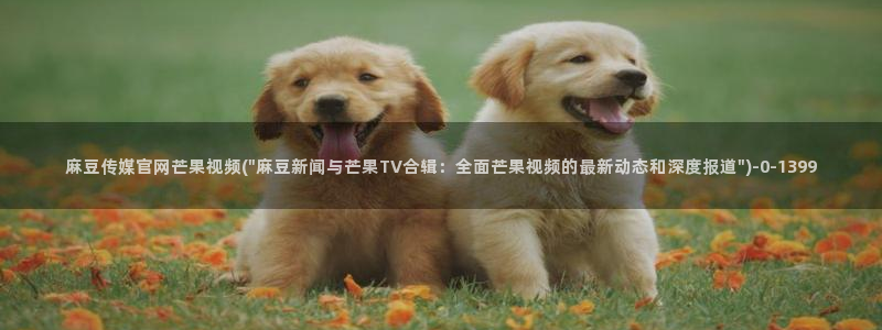 麻豆视频 系列更新