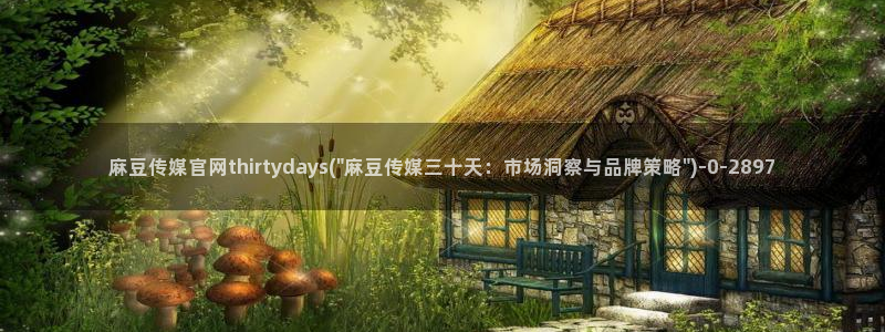 麻豆视频合集：麻豆传媒官网thirtydays(