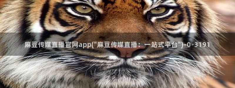 麻豆视频 站在线看：麻豆传媒直播官网app(\